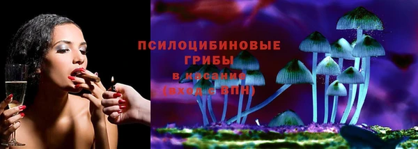 дживик Баксан