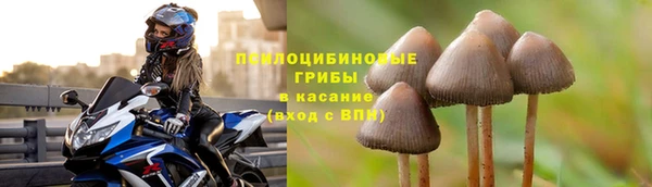 дживик Баксан