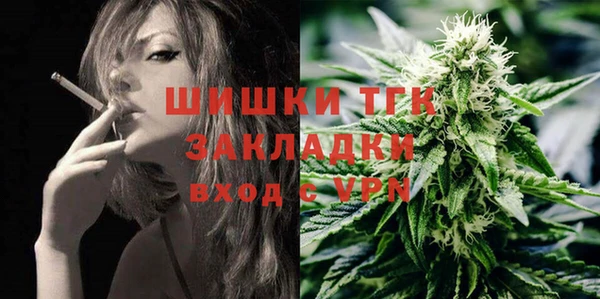 дживик Баксан