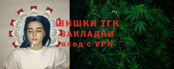 дживик Баксан