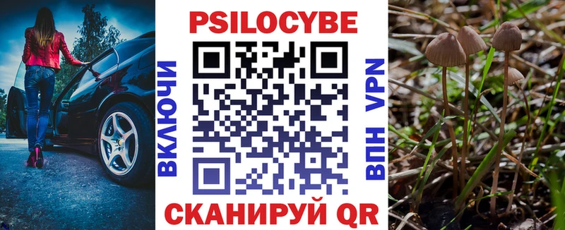 Галлюциногенные грибы Psilocybe  где купить   Гулькевичи 