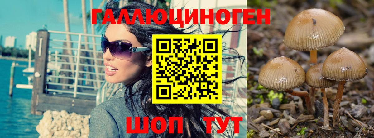 Псилоцибиновые грибы мухоморы Гулькевичи