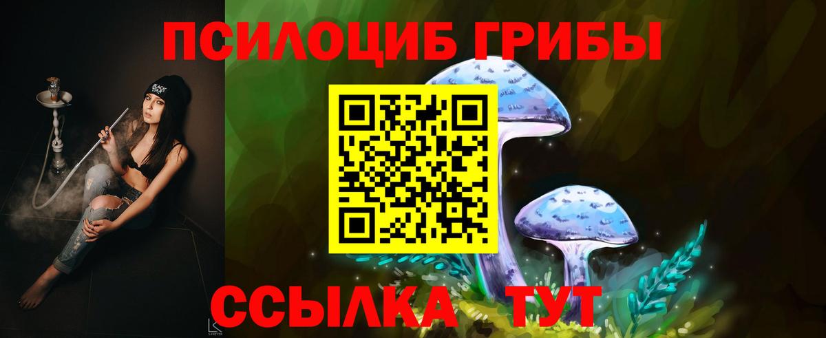 Галлюциногенные грибы Psilocybe  Вход с VPN  Гулькевичи 