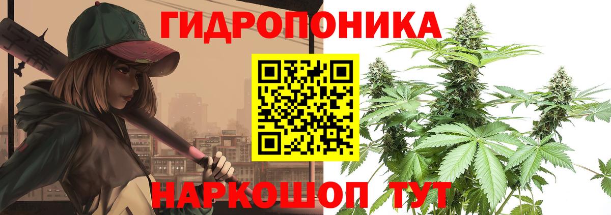 Гулькевичи  Конопля VHQ  Бошки Шишки THC 21%  Вход с VPN 